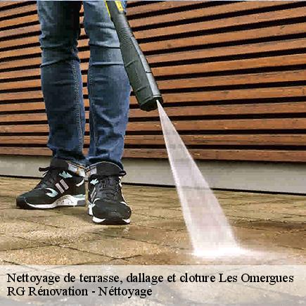 Nettoyage de terrasse, dallage et cloture-4