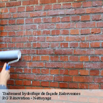 Traitement hydrofuge de façade-4
