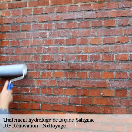 Traitement hydrofuge de façade-4