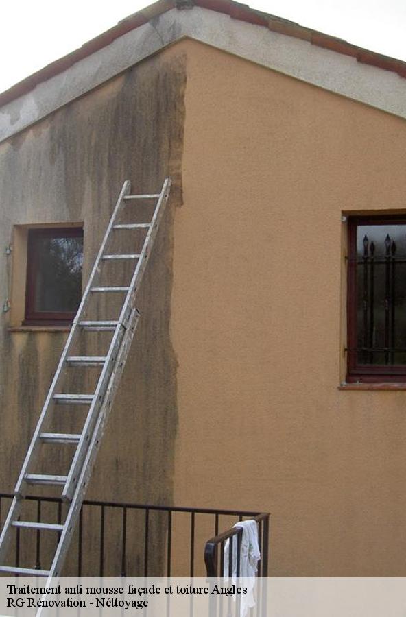 traitement-anti-mousse-facade-et-toiture-1