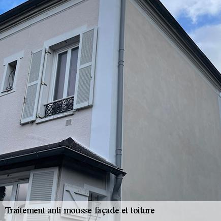 Traitement anti mousse façade et toiture-6