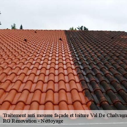 Traitement anti mousse façade et toiture-4