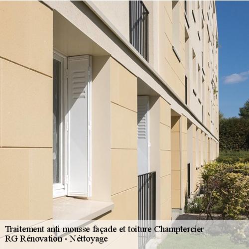 Traitement anti mousse façade et toiture-10