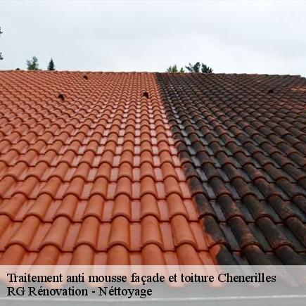 Traitement anti mousse façade et toiture-4