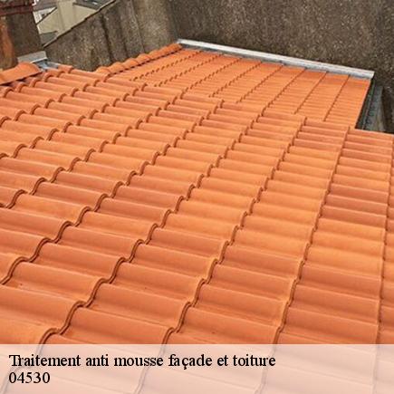 Traitement anti mousse façade et toiture-5