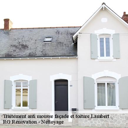 Traitement anti mousse façade et toiture-7