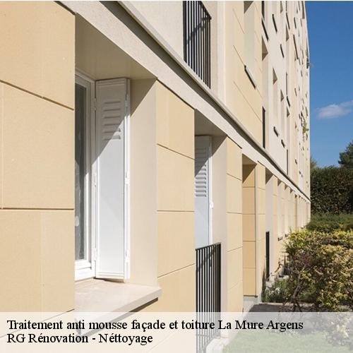 Traitement anti mousse façade et toiture-10