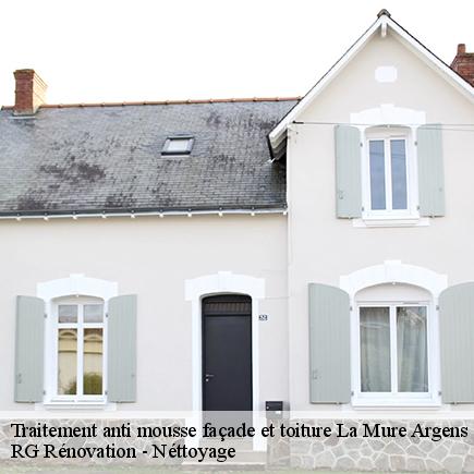 Traitement anti mousse façade et toiture-7