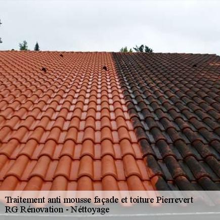 Traitement anti mousse façade et toiture-4