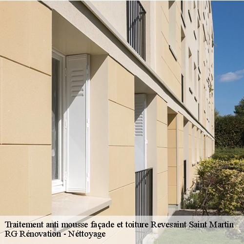 Traitement anti mousse façade et toiture-10