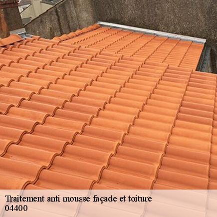 Traitement anti mousse façade et toiture-5