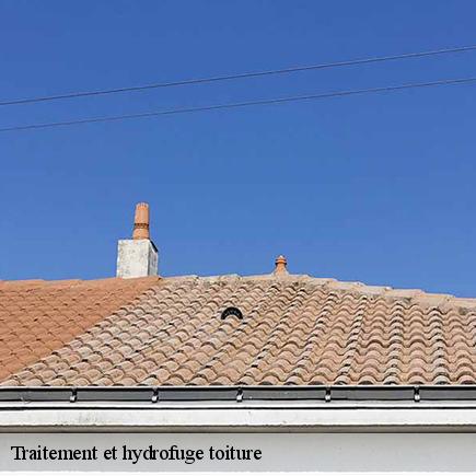 Traitement et hydrofuge toiture -6