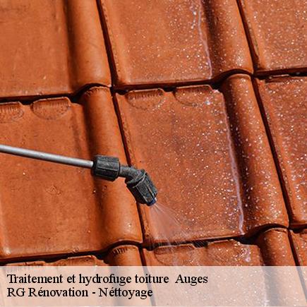 Traitement et hydrofuge toiture -4