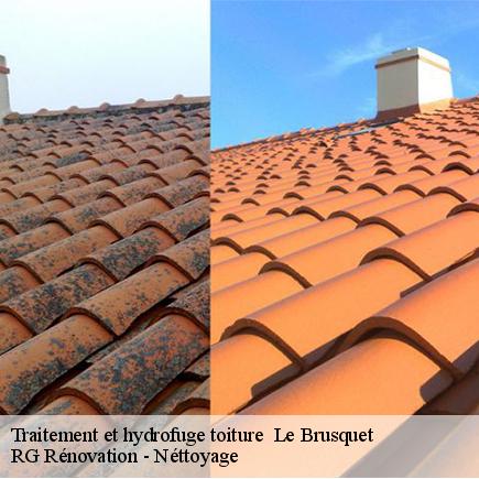 Traitement et hydrofuge toiture -7