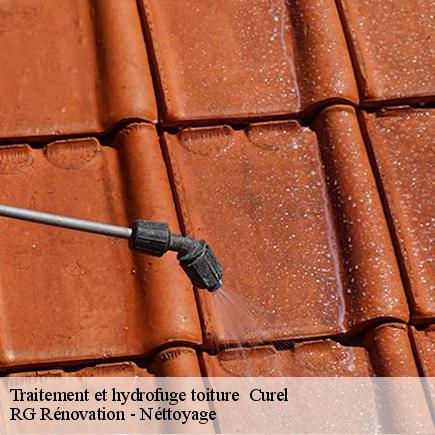 Traitement et hydrofuge toiture -4
