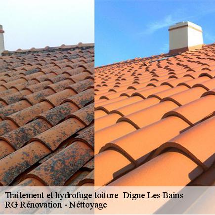 Traitement et hydrofuge toiture -7