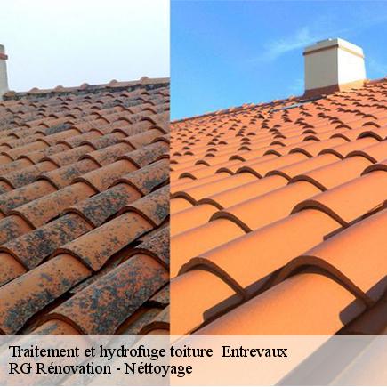 Traitement et hydrofuge toiture -7