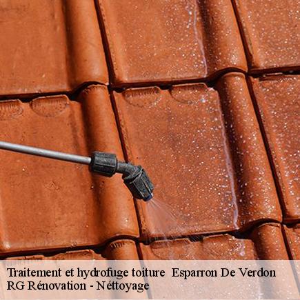 Traitement et hydrofuge toiture -4