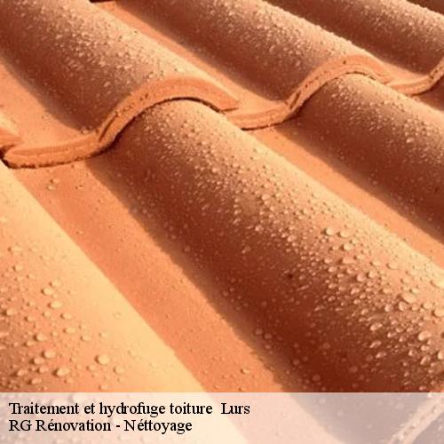 Traitement et hydrofuge toiture -10