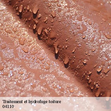 Traitement et hydrofuge toiture -5
