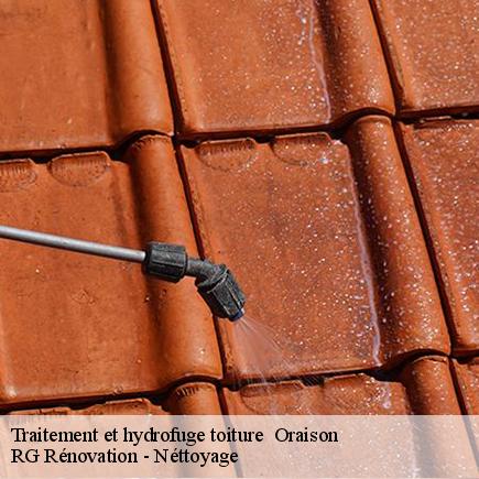 Traitement et hydrofuge toiture -4