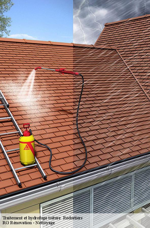 traitement-et-hydrofuge-toiture-1