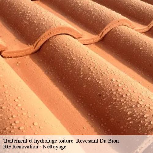 Traitement et hydrofuge toiture -10