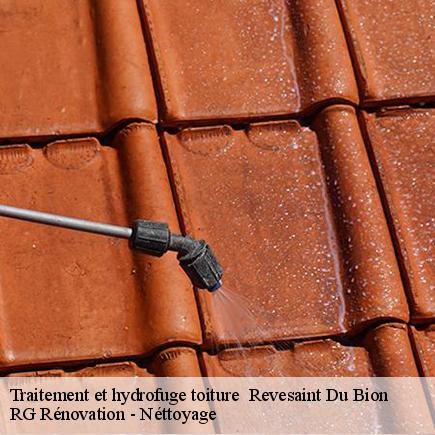 Traitement et hydrofuge toiture -4