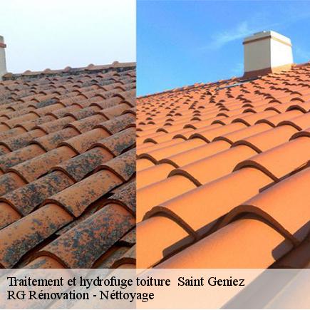 Traitement et hydrofuge toiture -7