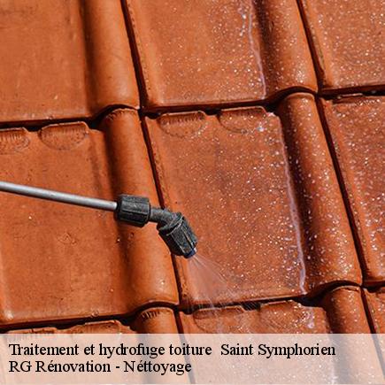 Traitement et hydrofuge toiture -4