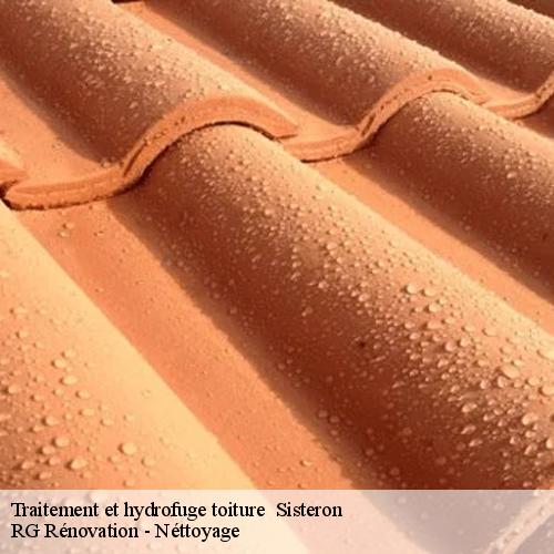 Traitement et hydrofuge toiture -10