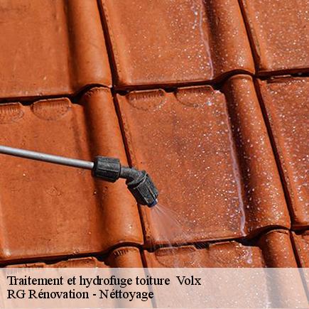 Traitement et hydrofuge toiture -4